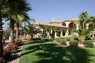 Luxury backyard