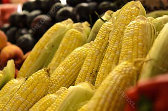 Farmers Market fresh vegtables corn