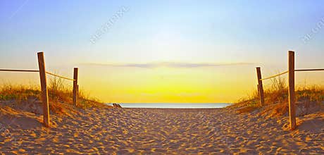 Path on the sand going to the ocean in Miami Beach Florida