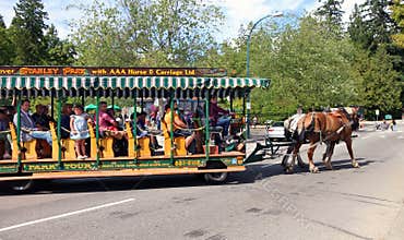 Stanley Park Horse-Drawn Tours