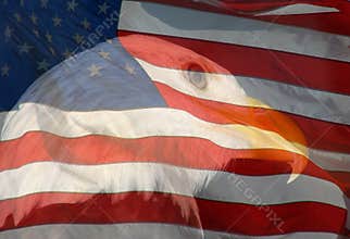 Eagle and Flag