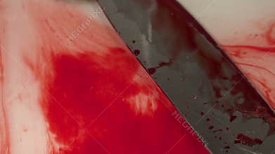 Bloody knife in a sink
