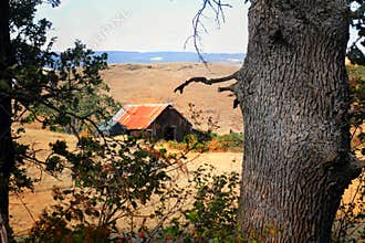 Peeking at a Country Barn