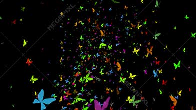 Large Swarm of Butterflies flying Upward Loop