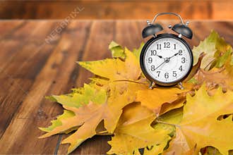 Daylight Savings Time