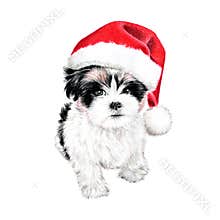 Cute Christmas puppy dog with santa hat illustration. hand drawn colored pencil art