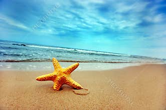 Summer beach