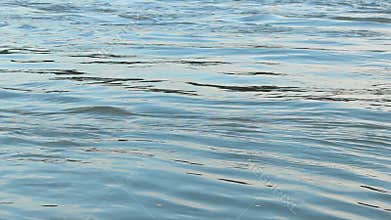 Tranquil water waves