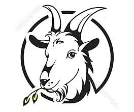 Head of goat on white background