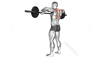 Video guides exercising. Front shoulder broach with barbell