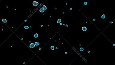 Cells Flow