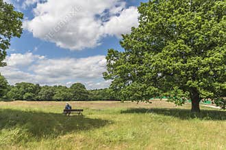 Parliament Hill in Hampstead Heath, London, UK