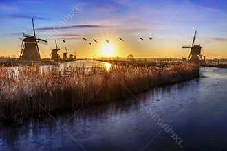 Geese flying over sunrise on the frozen windmills alignment