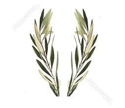 Olive branch