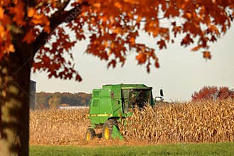 Autumn Harvest