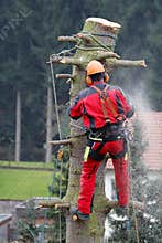 Logger at work
