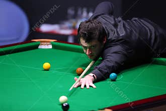Snooker player, Ronnie O'Sullivan