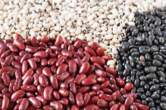 Mixed Dried Beans