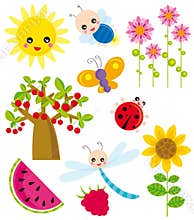Season elements- summer