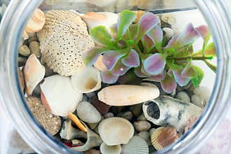 Fish bowl inside view