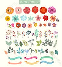 Vector set of flowers and labels.