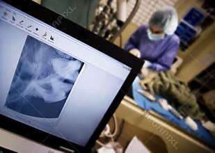 High tech veterinary medicine