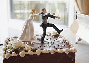 Funny wedding cake
