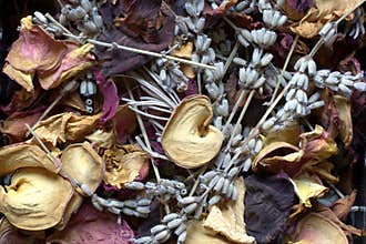 Potpourri