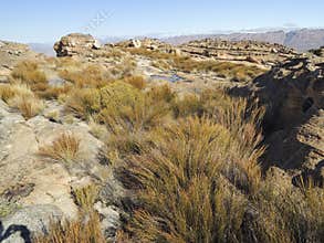 Landscape of Wolfberg Cracks in Cederberg