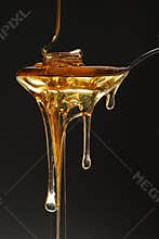 Honey
