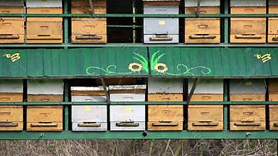 Bee hive agriculture