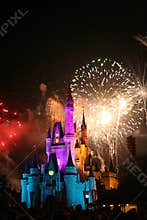 Magic Kingdom
