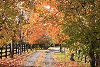 Vermont country road in Autumn