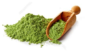 Young barley or wheat grass, detox superfood, white background