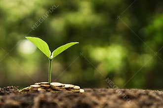 Business with csr practice