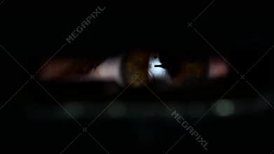 Green eye in the keyhole