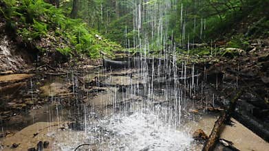 Waterfall in the Woods Loop