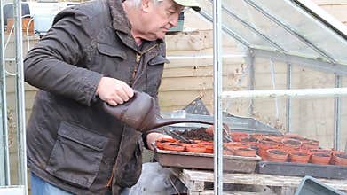 Senior man watering pots in a greenhouse.