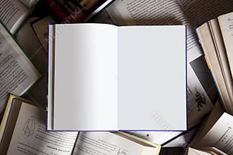 Book among books
