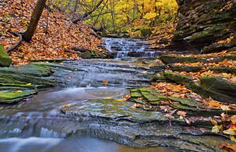 Water fall in Hamilton