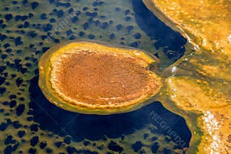 Bacteria Mat Closeup