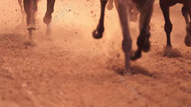 Horse Racing. Feet. Slow Motion