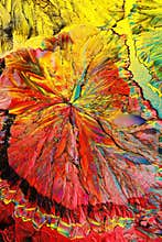 Colorful citric acid crystals