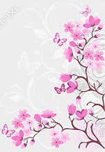 Cherry blossom background