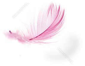 Feather