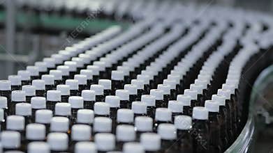 Many Plastic Bottles Moving on Conveyor