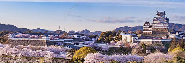 Japan Himeji castle with light up in sakura cherry