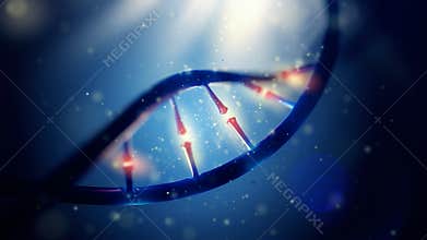 DNA molecule. Closeup of concept human genome.