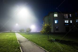 Countryside with fog