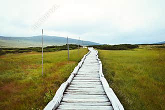 Wooden footbridge leading through peat bog